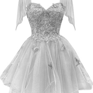 Elegant Silver Butterfly Dress